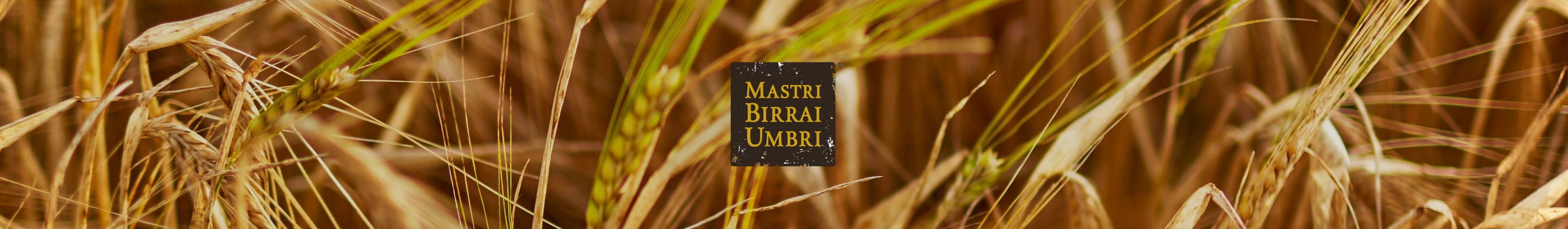 Birra Confezioni Speciali