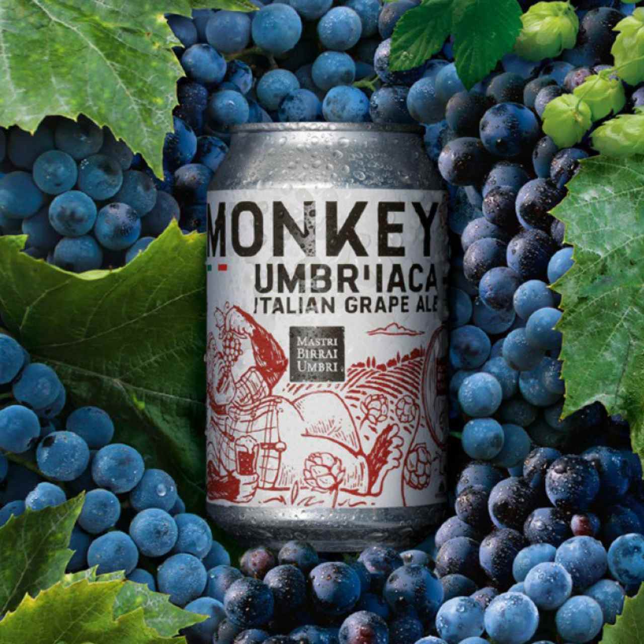 Monkey UMBRI'ACA