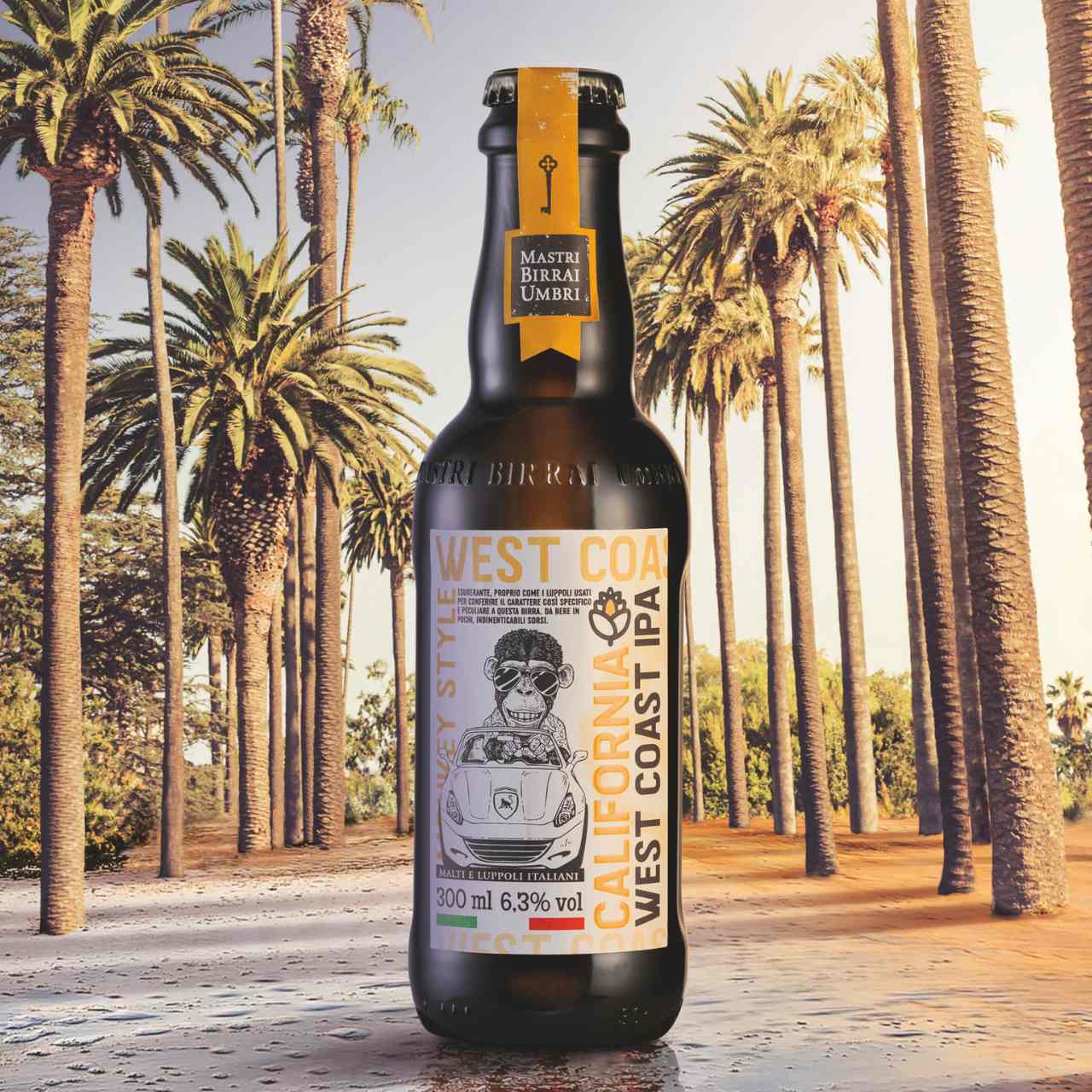 Kalifornien Westküste Ipa