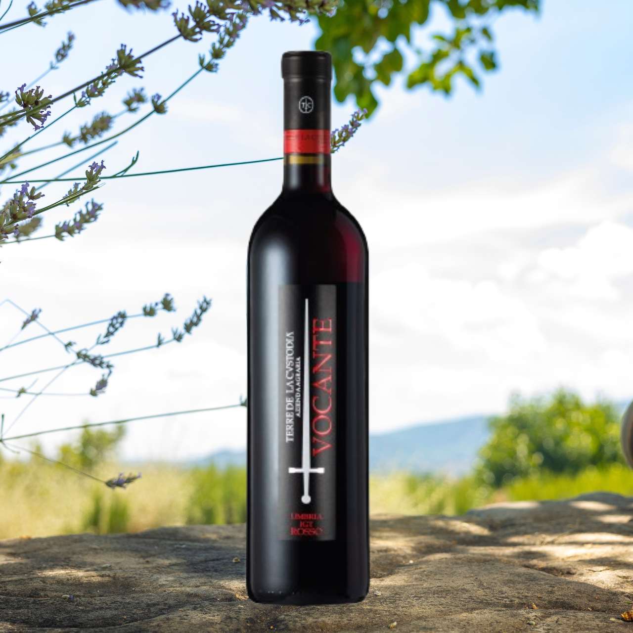 Vocante Rosso dell'Umbria IGT