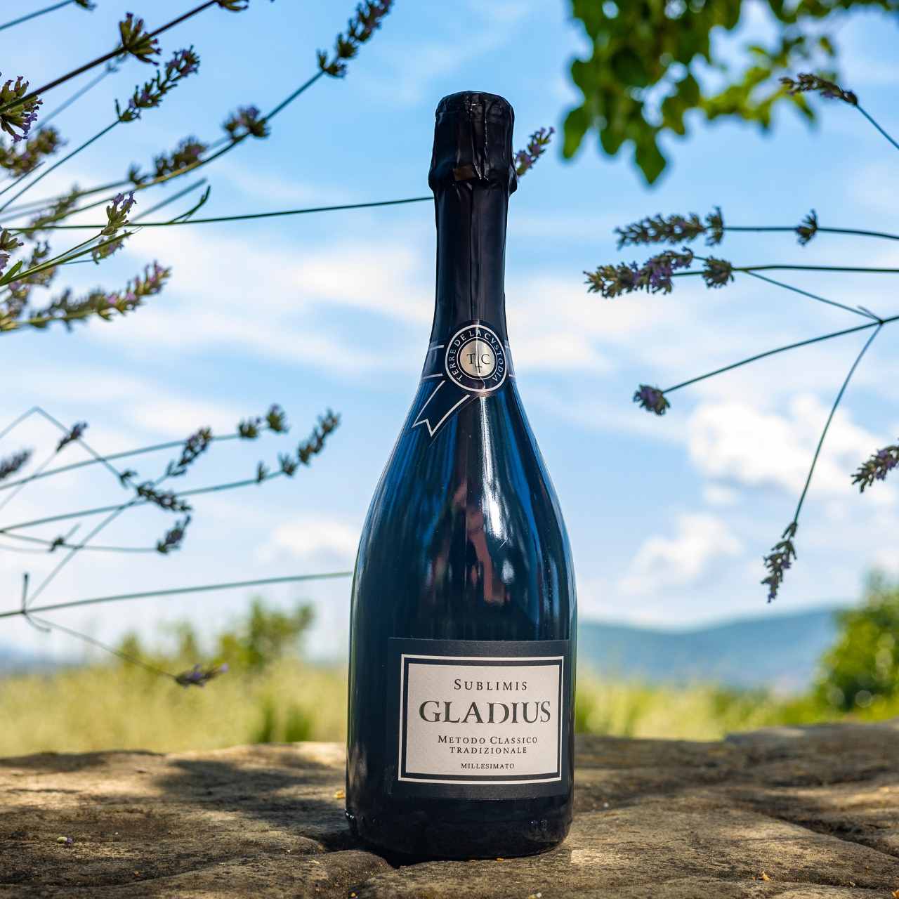 Gladius