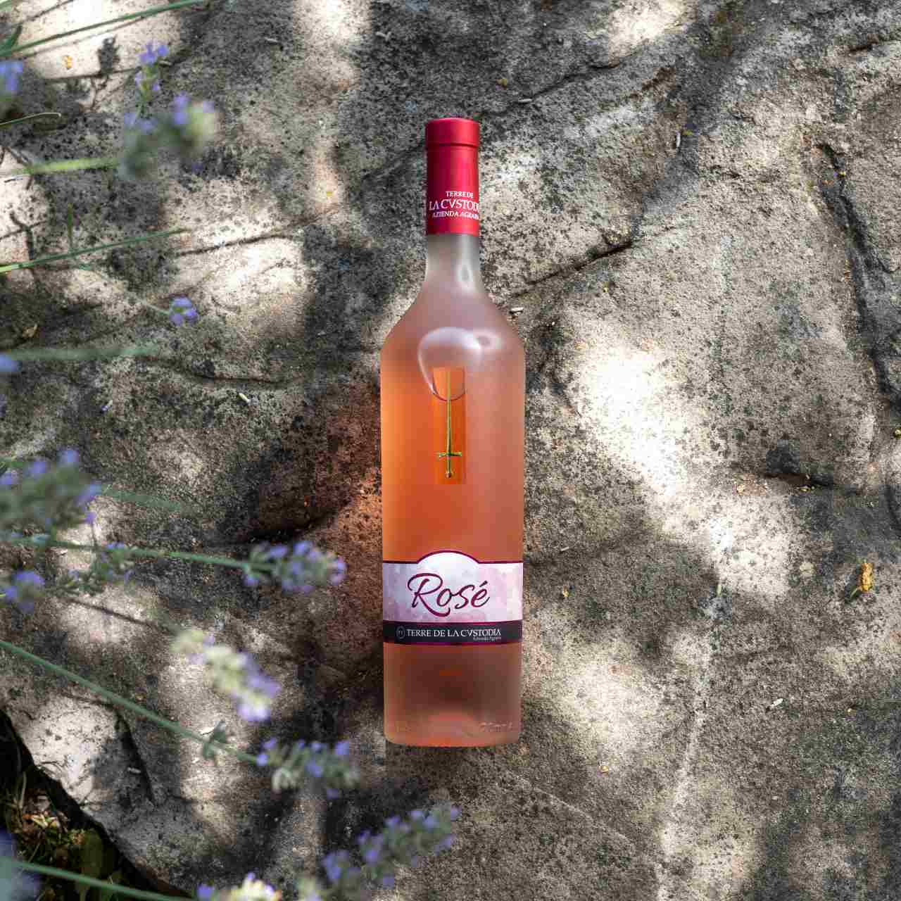 Rosé Umbrian IGP Rosato