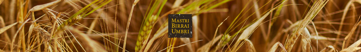 Birra Idee Regalo