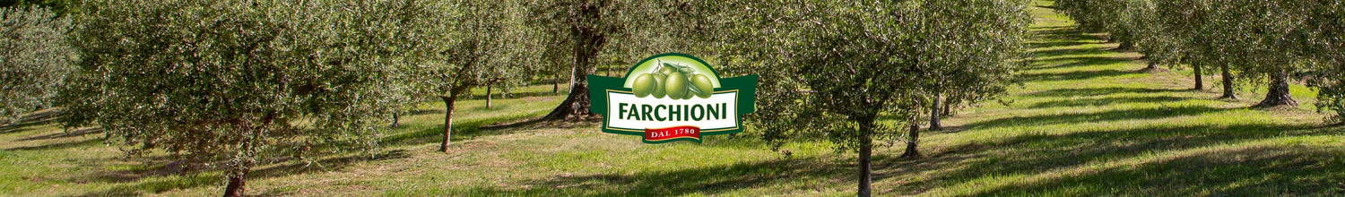 öl Italienisch
