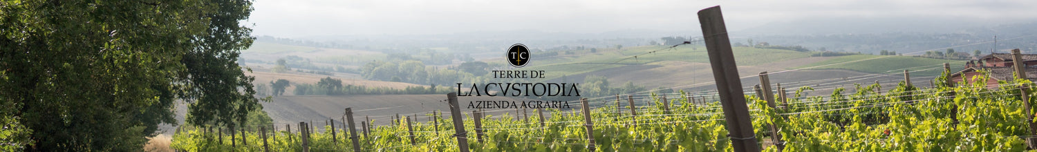 Weinlinie Le Riserve