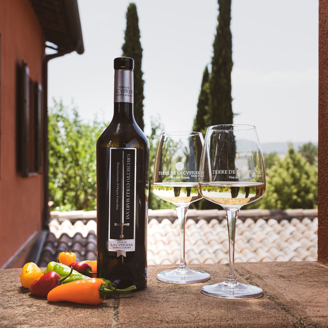 Grechetto Colli Martani DOC